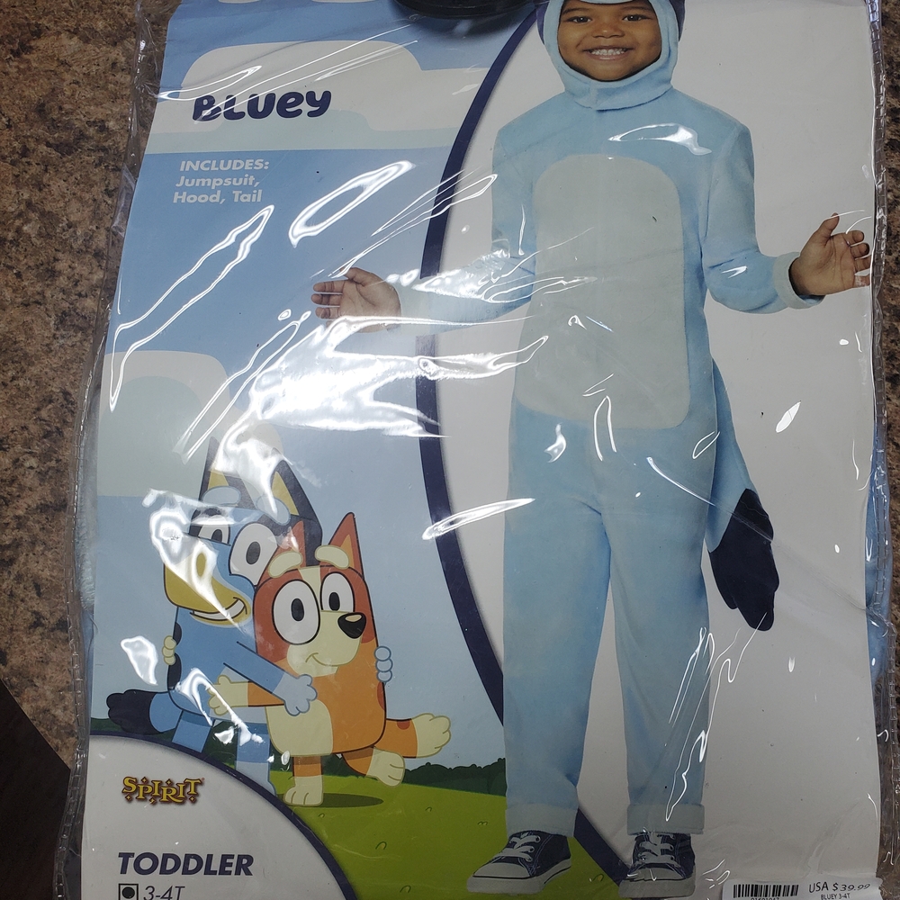 Spirit Bluey Light Blue and White Toddler Bluey Costume